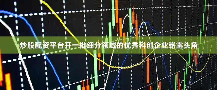 炒股配资平台开一批细分领域的优秀科创企业崭露头角