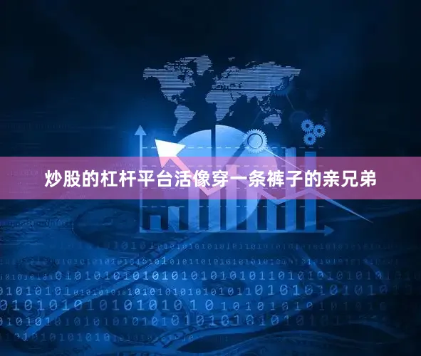 炒股的杠杆平台活像穿一条裤子的亲兄弟
