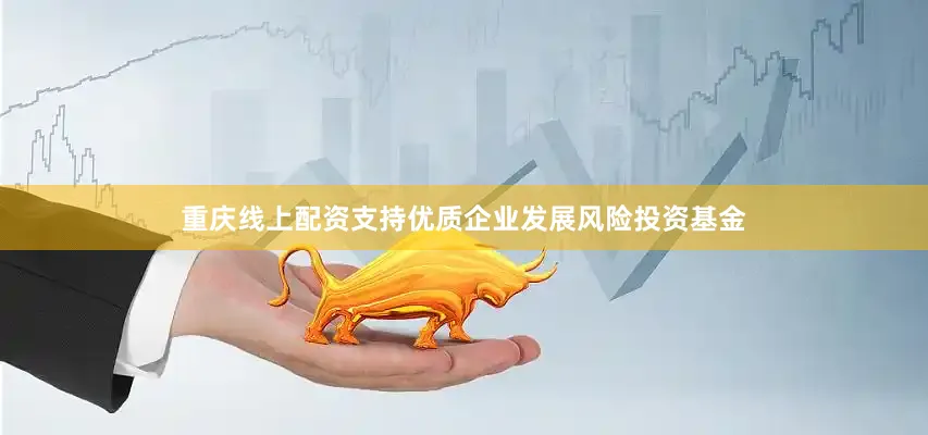 重庆线上配资支持优质企业发展风险投资基金