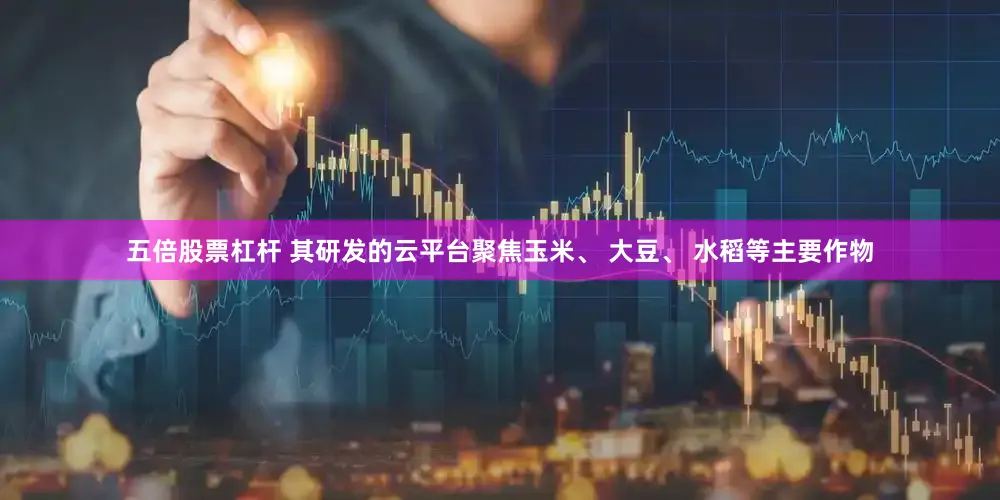 五倍股票杠杆 其研发的云平台聚焦玉米、 大豆、 水稻等主要作物