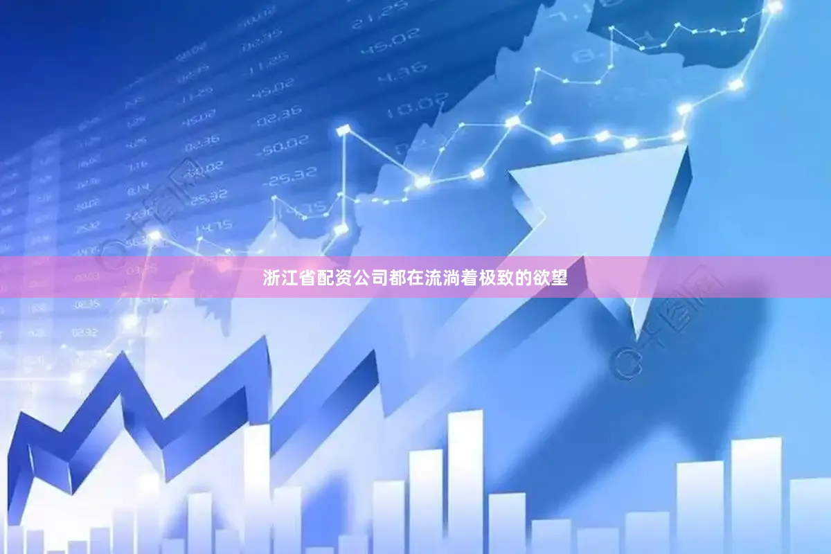 浙江省配资公司都在流淌着极致的欲望