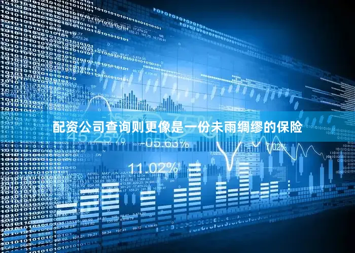 配资公司查询则更像是一份未雨绸缪的保险