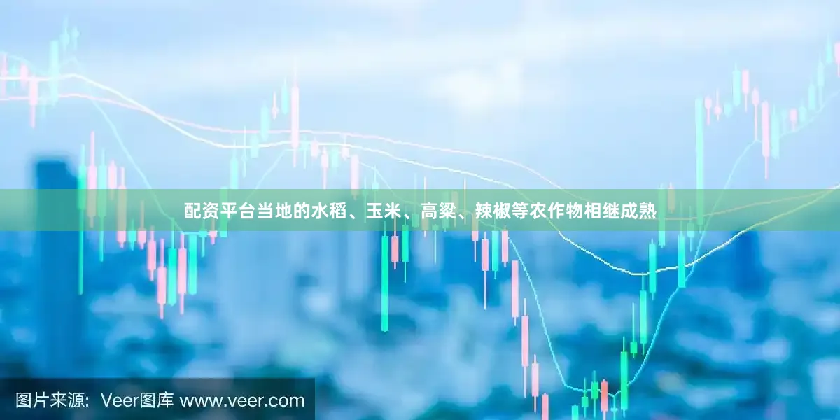 配资平台当地的水稻、玉米、高粱、辣椒等农作物相继成熟